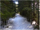 Pri Jalnu / Fusine Laghi - Kopa / Monte Coppa